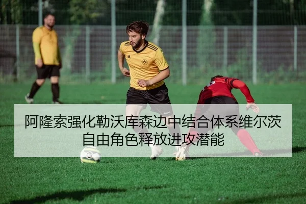 阿隆索强化勒沃库森边中结合体系维尔茨自由角色释放进攻潜能
